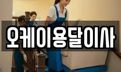 오케이용달이사