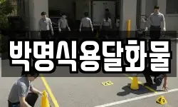 박명식용달화물