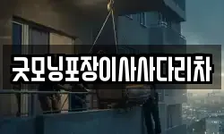 굿모닝포장이사사다리차