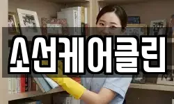 소선케어클린