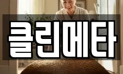 클린메타