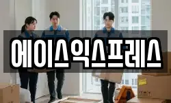 에이스익스프레스