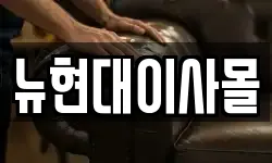 뉴현대이사몰