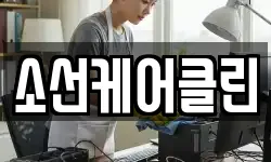소선케어클린