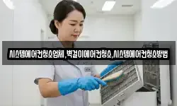 시스템에어컨청소업체,벽걸이에어컨청소,시스템에어컨청소방법