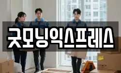 굿모닝익스프레스