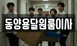 동양용달원룸이사