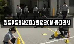 원룸투룸소형오피스텔용달이사사다리차
