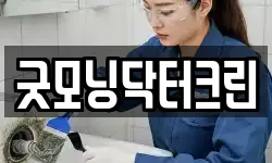굿모닝닥터크린