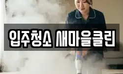 입주청소 새마을클린