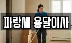 파랑새 용달이사