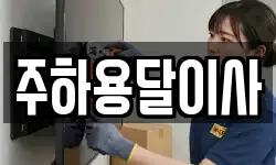 주하용달이사