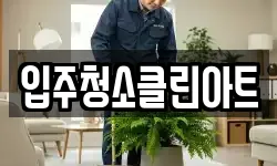 입주청소클린아트
