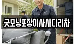 굿모닝포장이사사다리차