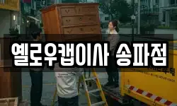 옐로우캡이사 송파점