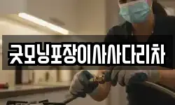 굿모닝포장이사사다리차