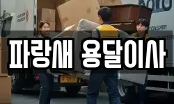 파랑새 용달이사
