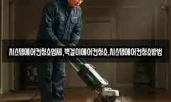 시스템에어컨청소업체,벽걸이에어컨청소,시스템에어컨청소방법