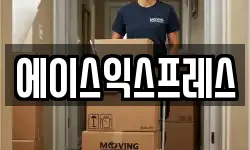 에이스익스프레스