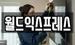 월드익스프레스