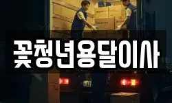 꽃청년용달이사