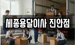 세종용달이사 진안점
