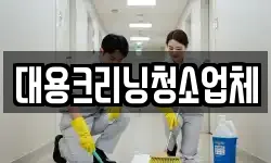 대용크리닝청소업체