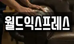 월드익스프레스