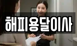 해피용달이사