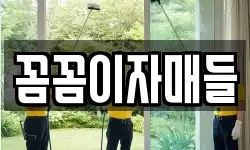 꼼꼼이자매들
