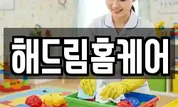 해드림홈케어