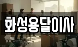 화성용달이사