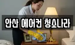 안산 에어컨 청소나라