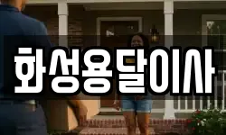 화성용달이사