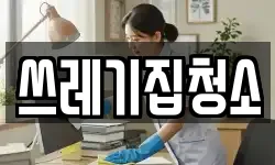 쓰레기집청소