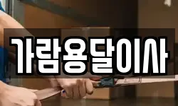 가람용달이사