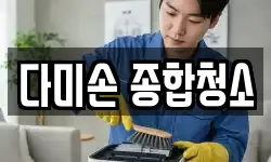 다미손 종합청소