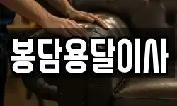 봉담용달이사