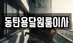 동탄용달원룸이사