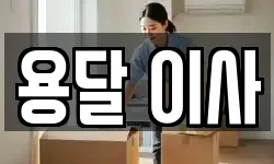 용달 이사