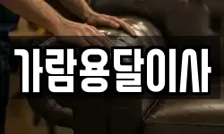 가람용달이사