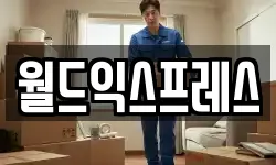 월드익스프레스