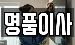 명품이사