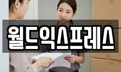 월드익스프레스