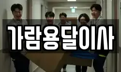 가람용달이사