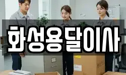 화성용달이사