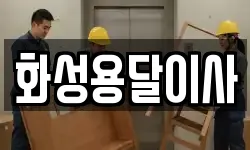 화성용달이사