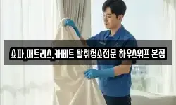 쇼파,매트리스,카페트 탈취청소전문 하우스위프 본점