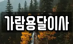 가람용달이사