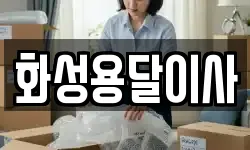 화성용달이사